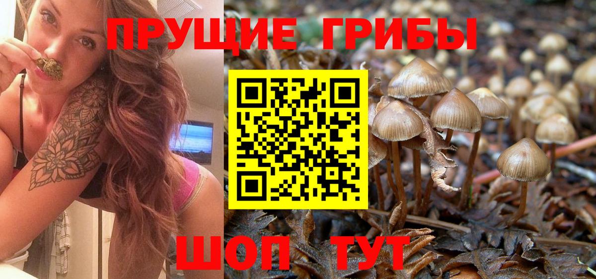 Галлюциногенные грибы GOLDEN TEACHER Михайловка