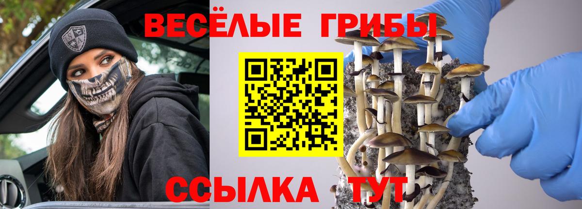 Галлюциногенные грибы мицелий  Вход с VPN  Михайловка 